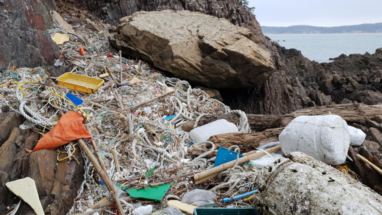 Ειρηνικός Ωκεανός: Ένα μεγάλο «νησί» πλαστικών έχει μετατραπεί σε φυσικό βιότοπο για 46 είδη ασπόνδυλων ζώων