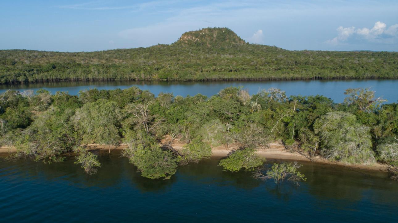 Κίνδυνος για τον Αμαζόνιο: Πάνω από το ένα τρίτο του δάσους μπορεί να έχει υποβαθμιστεί, σύμφωνα με έρευνα